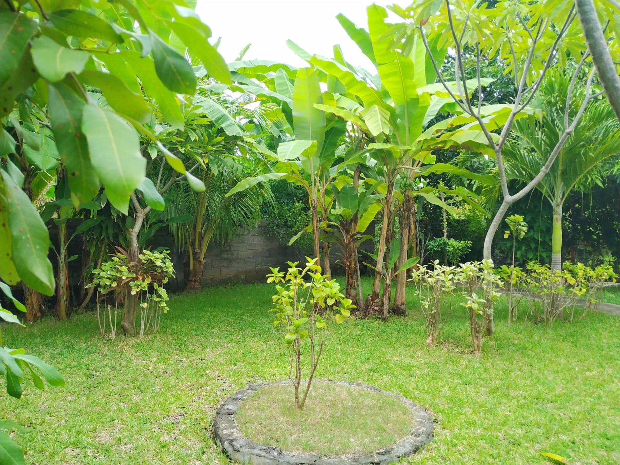 Asih Homestay Pemuteran Dış mekan fotoğraf