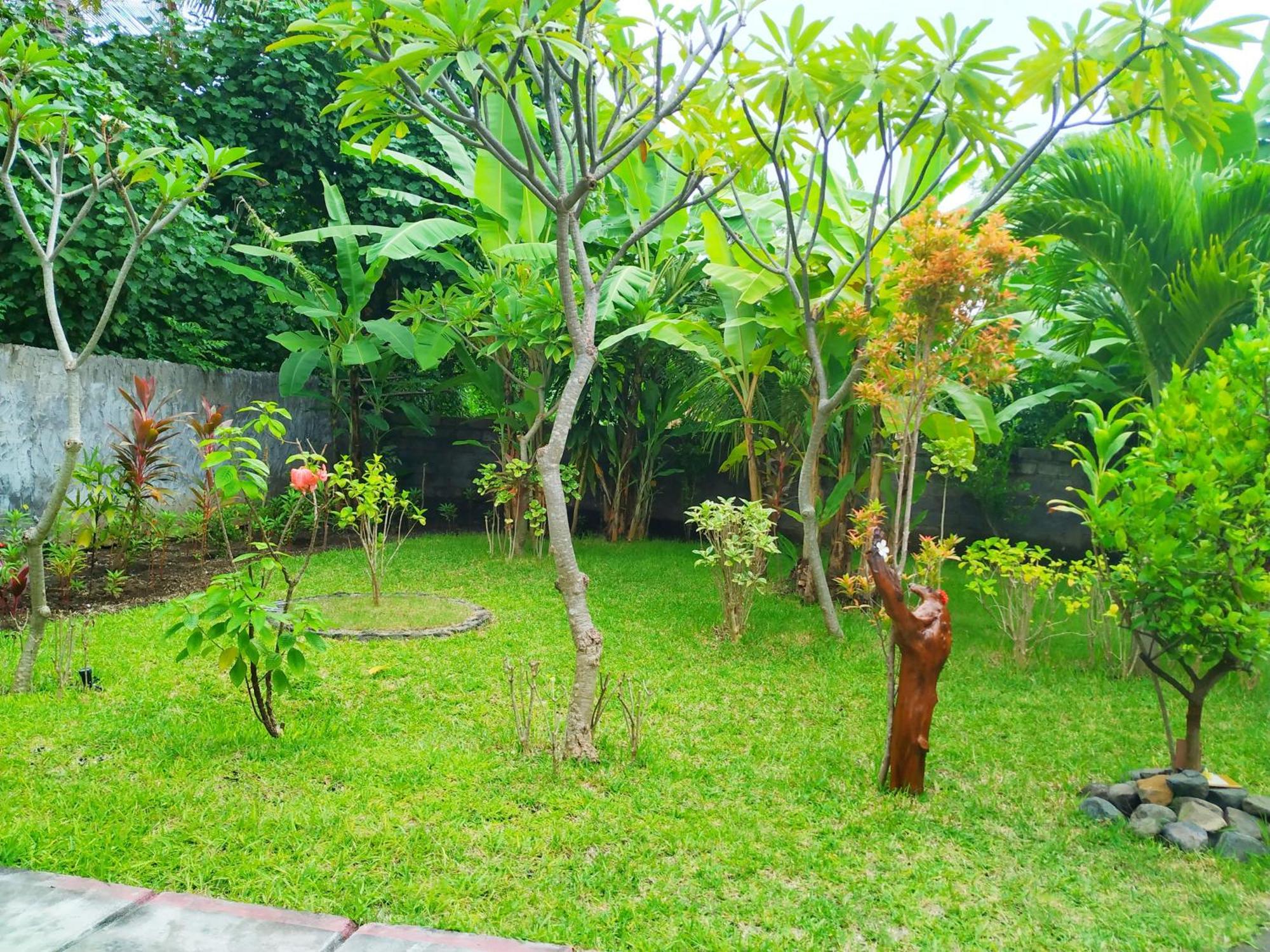 Asih Homestay Pemuteran Dış mekan fotoğraf