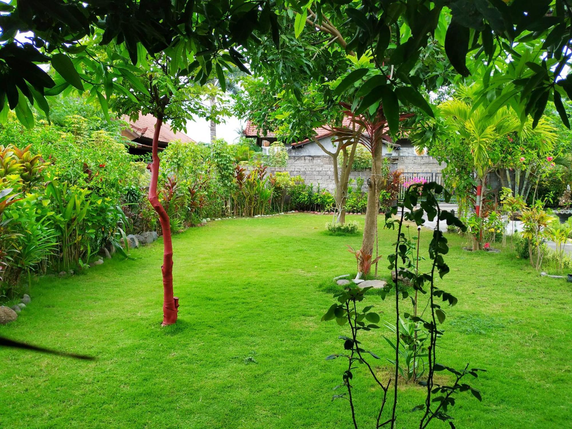 Asih Homestay Pemuteran Dış mekan fotoğraf