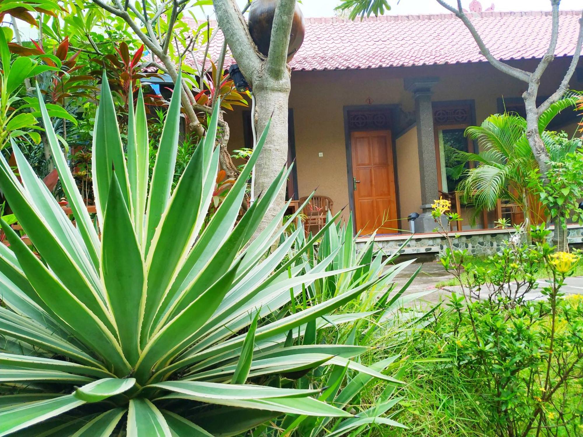 Asih Homestay Pemuteran Dış mekan fotoğraf